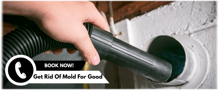 Air Duct Mold Removal in Conroe TX